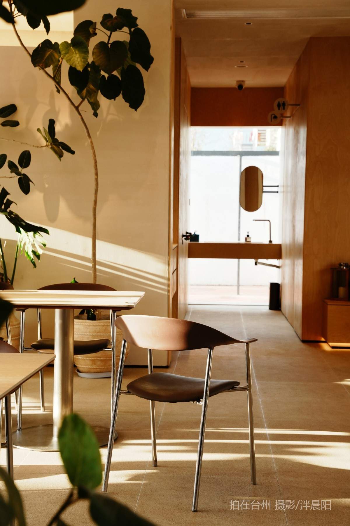 仙居田市镇下街村古田南39号annana网球主题餐厅(图6)