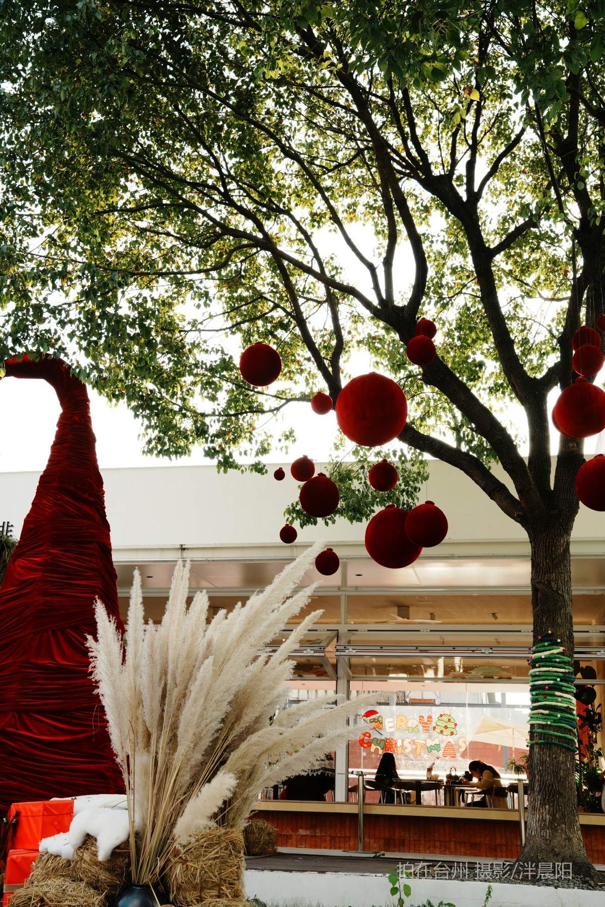 仙居田市镇下街村古田南39号annana网球主题餐厅(图5)