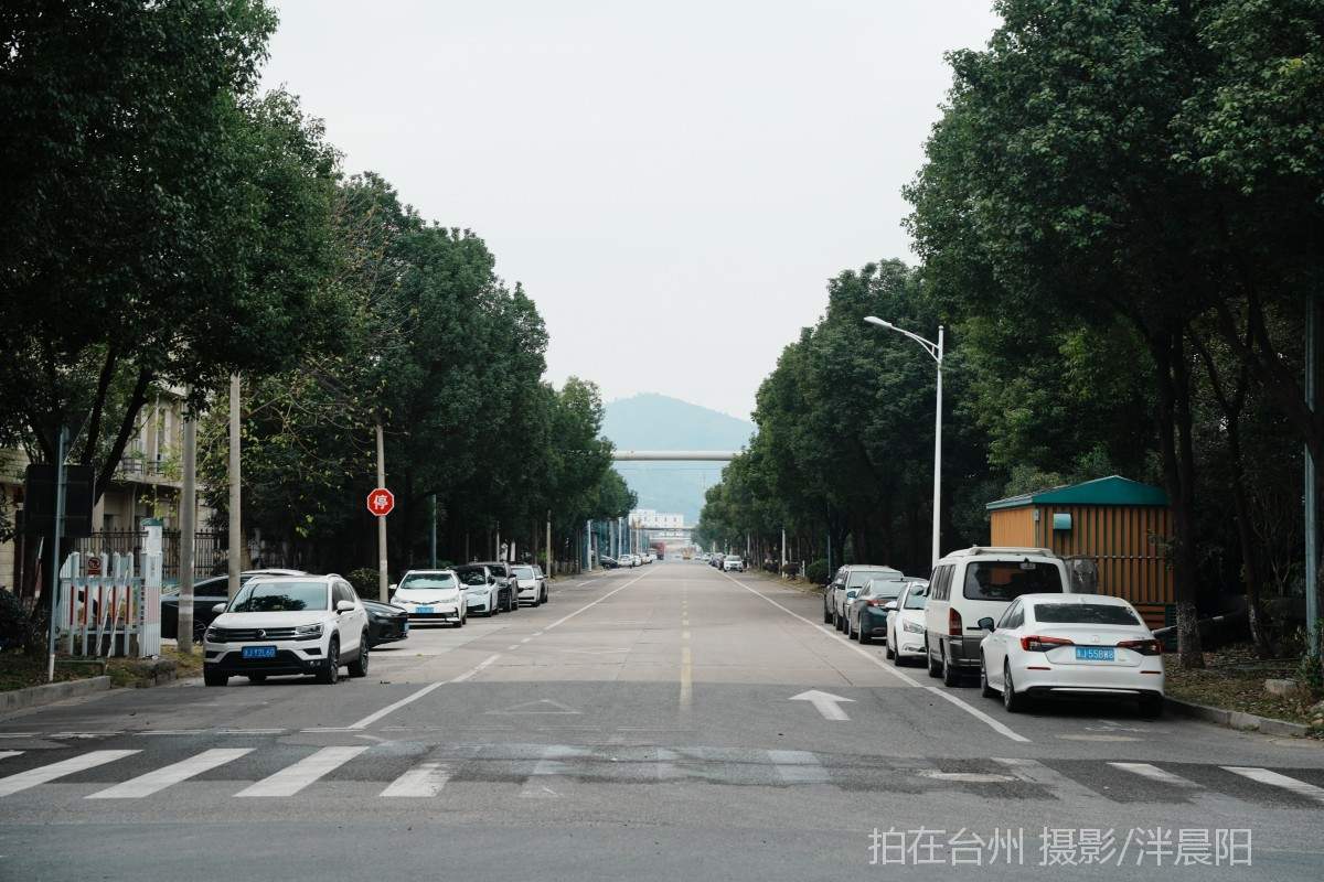 仙居下各镇大路工业城(图13)