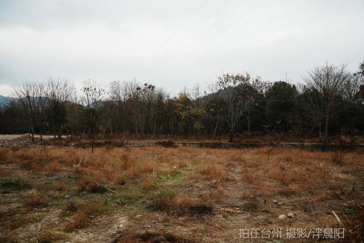 仙居罗渡路罗渡桥大坝(图10)