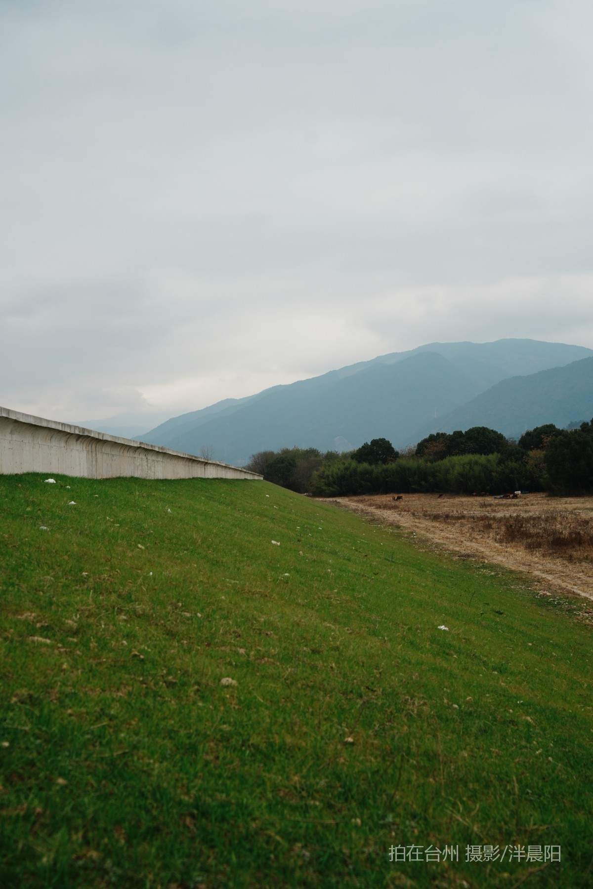 仙居罗渡路罗渡桥大坝(图6)