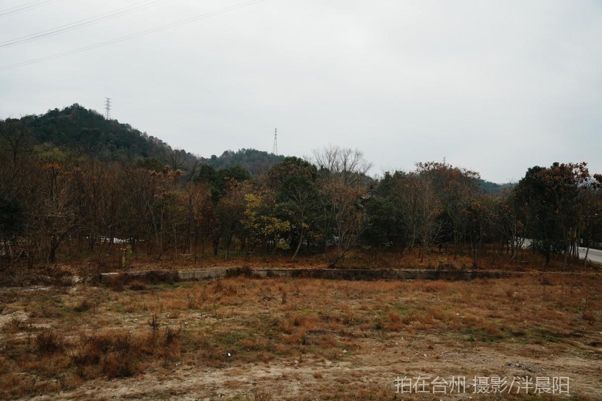 仙居罗渡路罗渡桥大坝(图7)