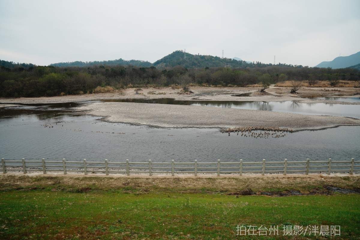 仙居罗渡路罗渡桥大坝(图3)