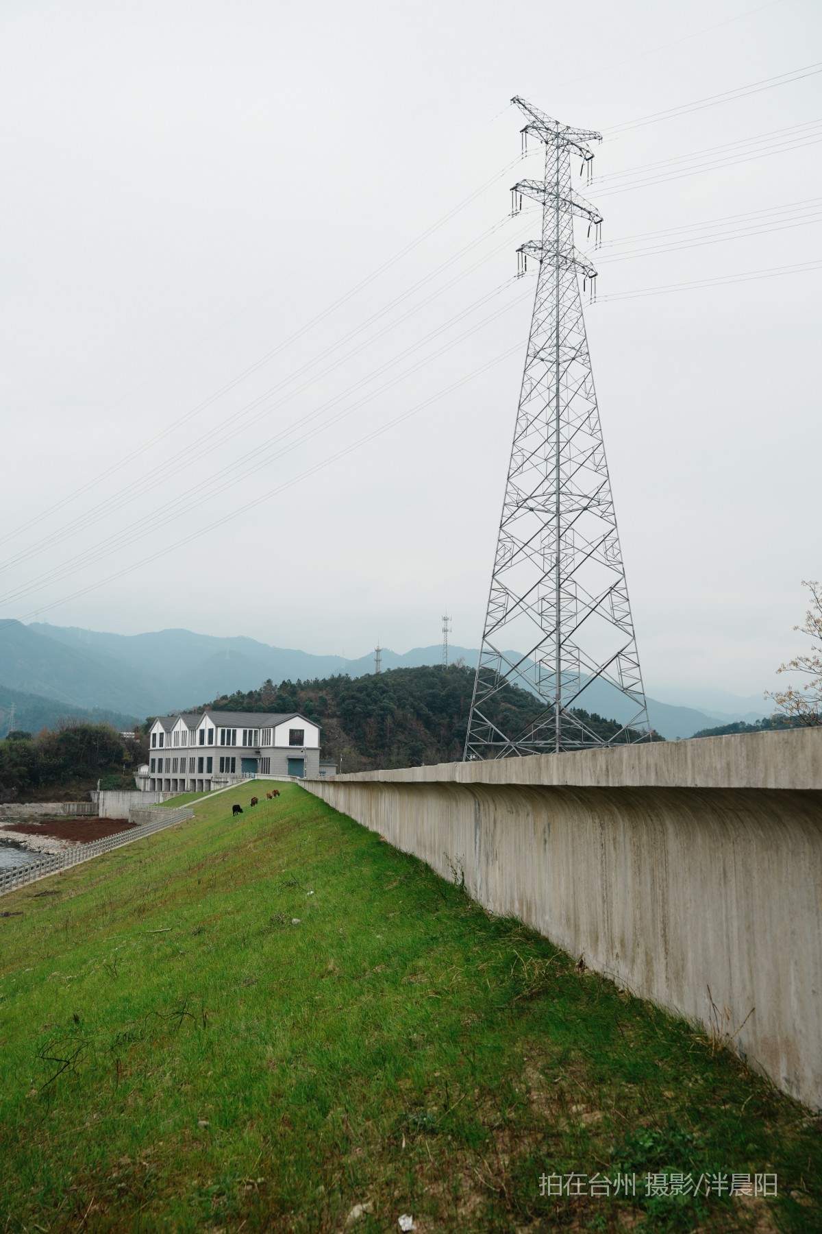 仙居罗渡路罗渡桥大坝(图2)