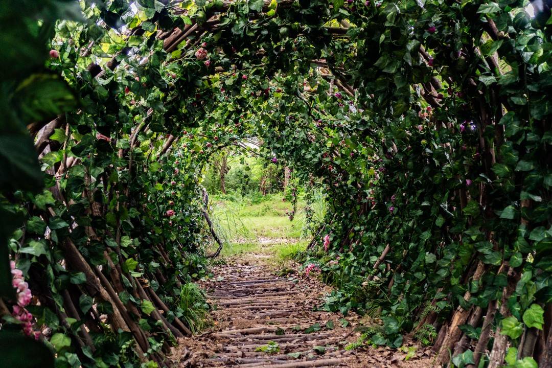 台州湾新区三甲榕树林 多部古装长剧取景地(图2) 台州湾新区三甲榕树林 多部古装长剧取景地(图2)