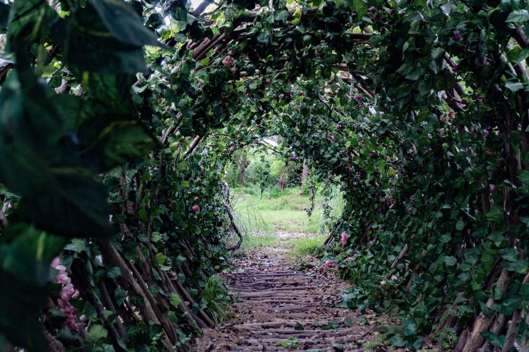 台州湾新区三甲榕树林 多部古装长剧取景地(图9) 台州湾新区三甲榕树林 多部古装长剧取景地(图9)