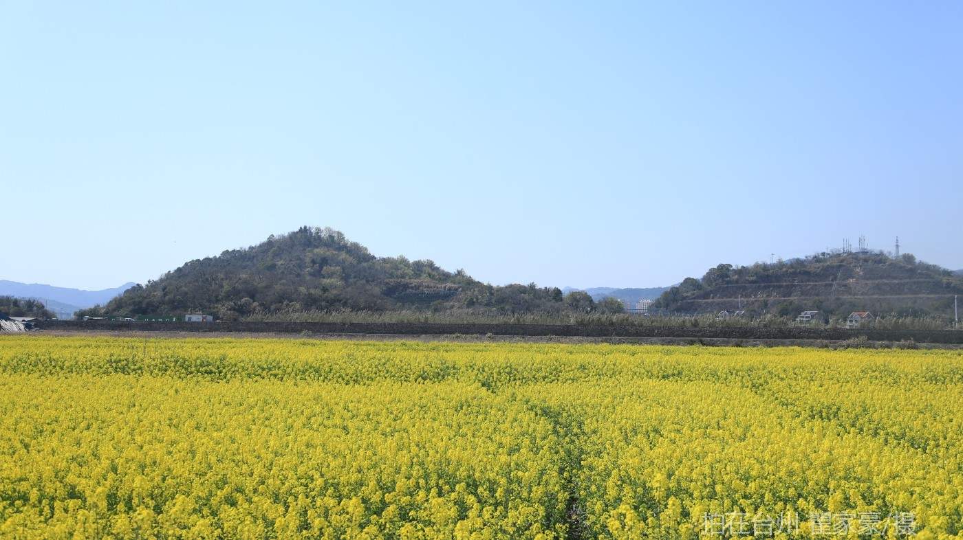 温岭横屿村村庄(图12)