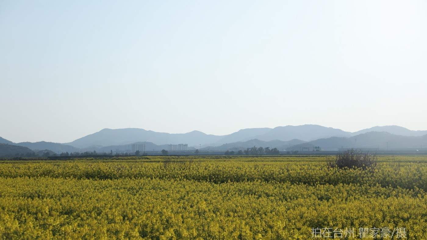 温岭横屿村村庄(图11)