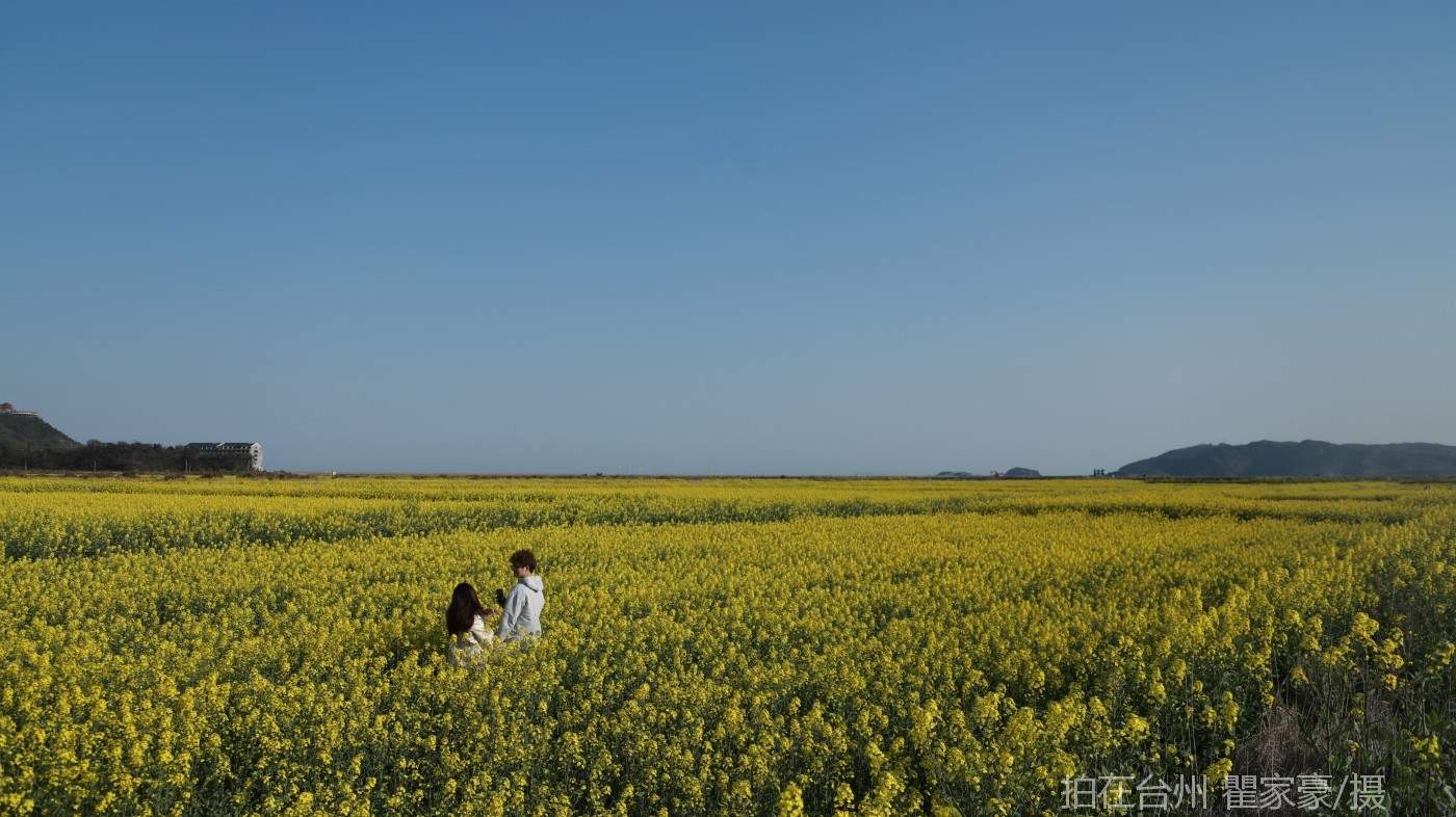温岭横屿村村庄(图9)
