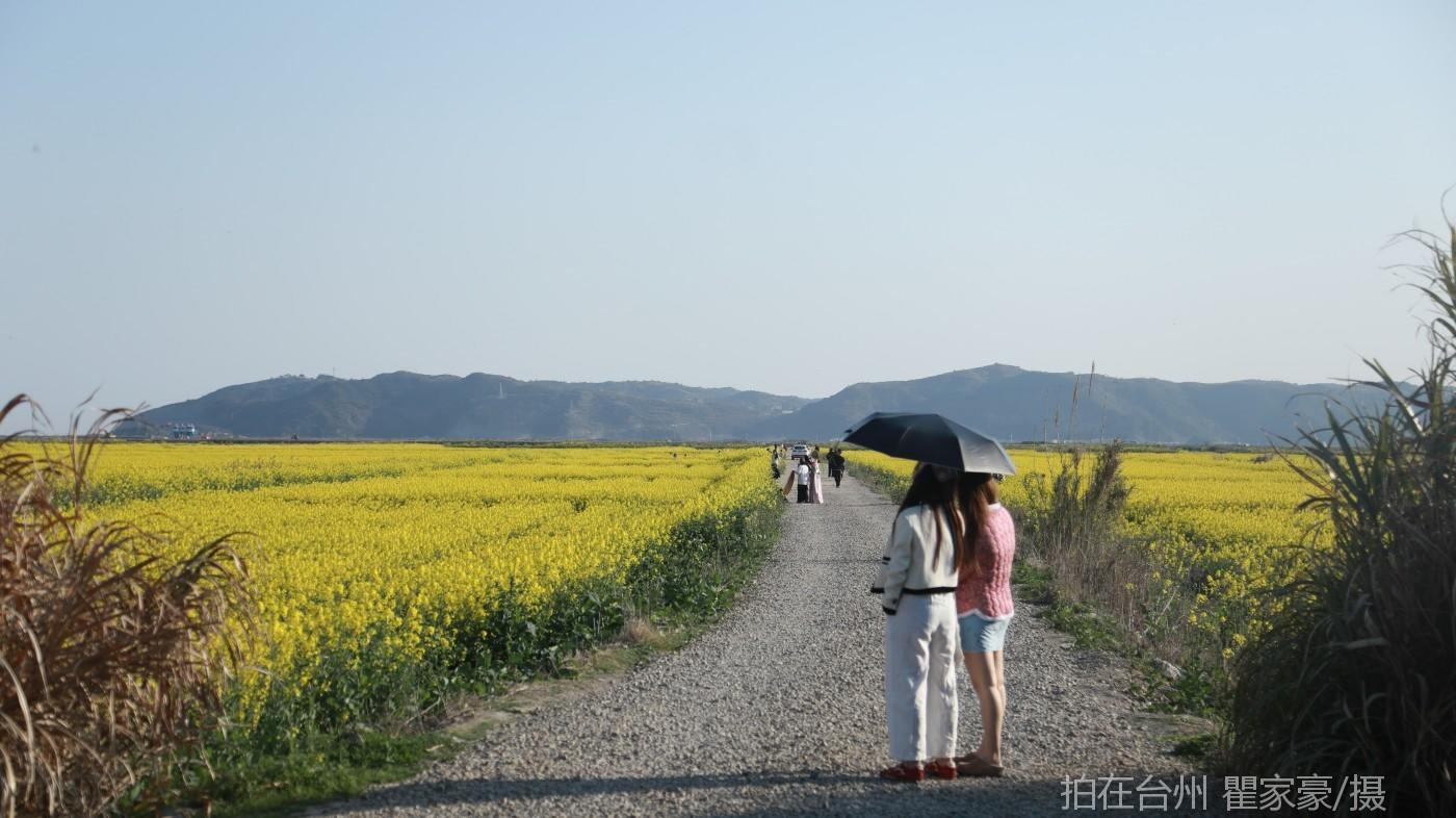 温岭横屿村村庄(图8)