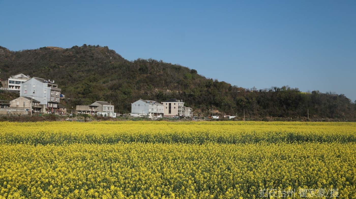 温岭横屿村村庄(图7)