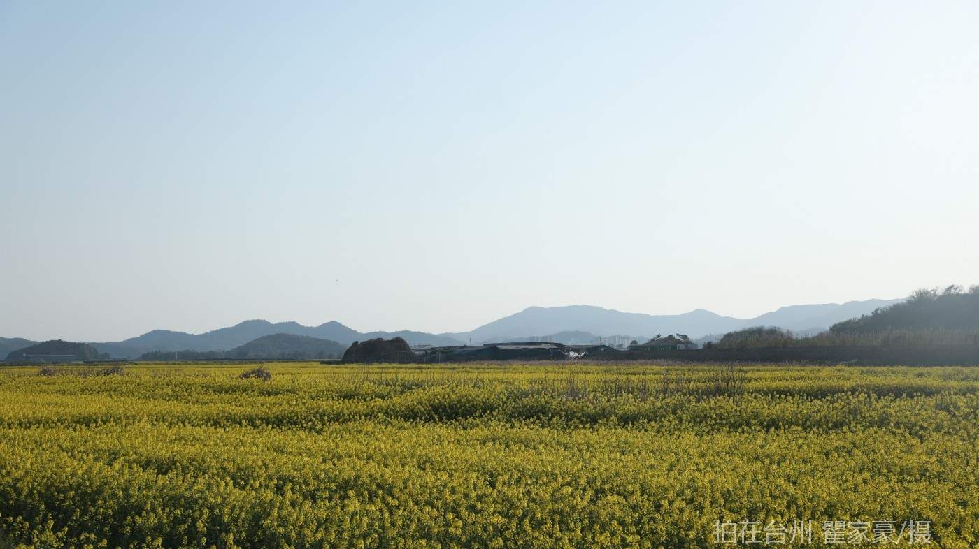 温岭横屿村村庄(图6)