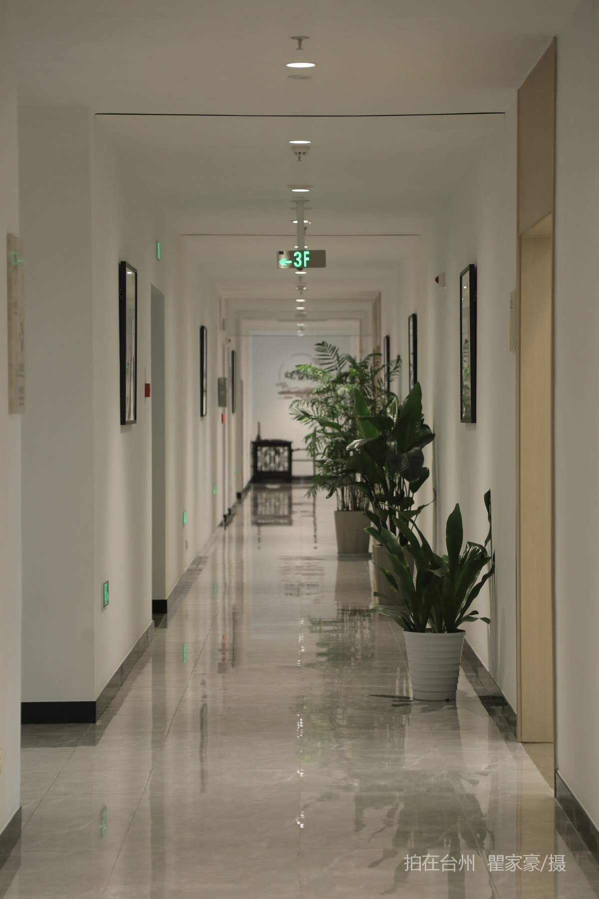 温岭市文化中心（文化馆）(图2)