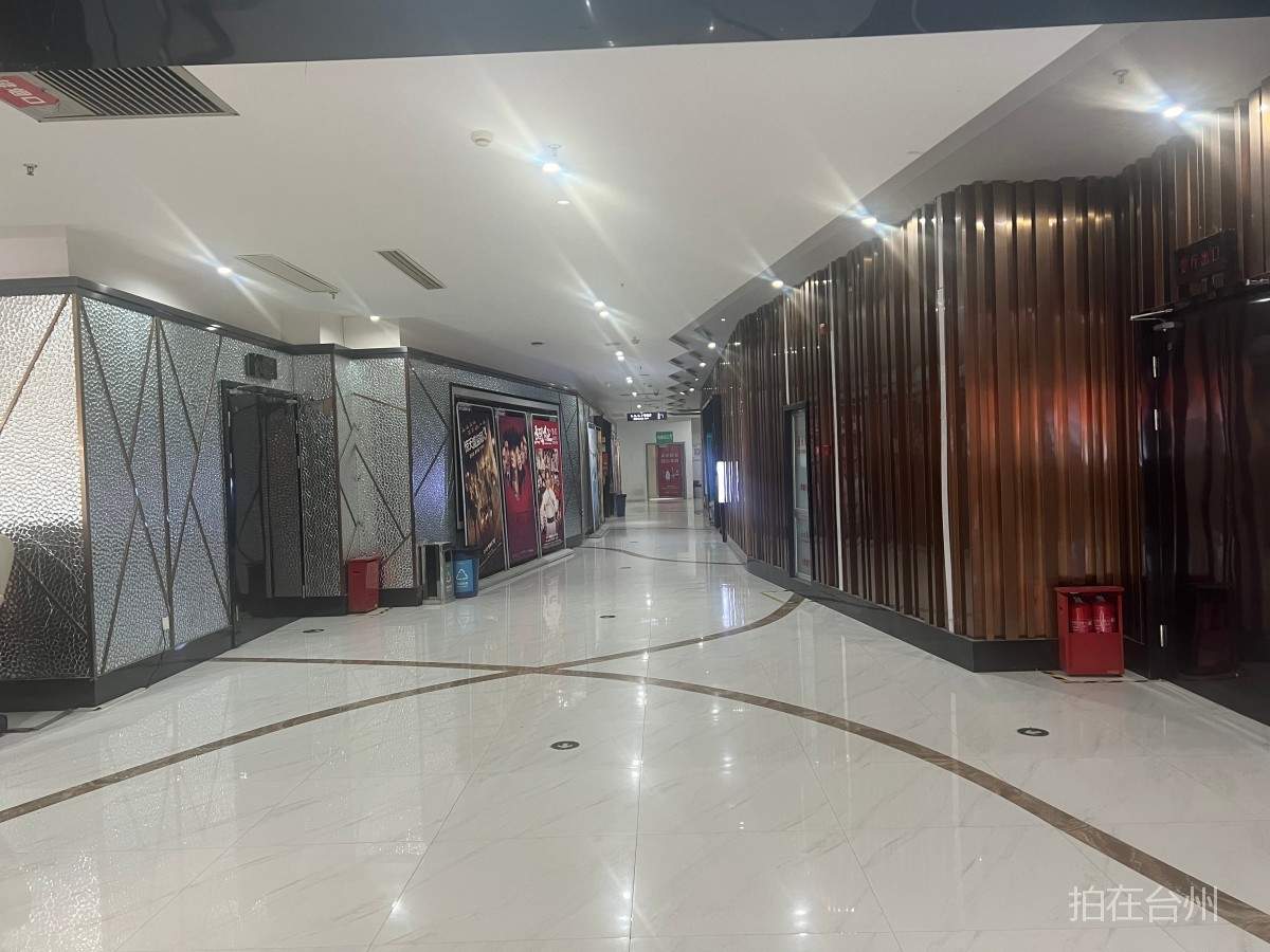 天台县德信影院有限公司(图5) 天台县德信影院有限公司(图6)