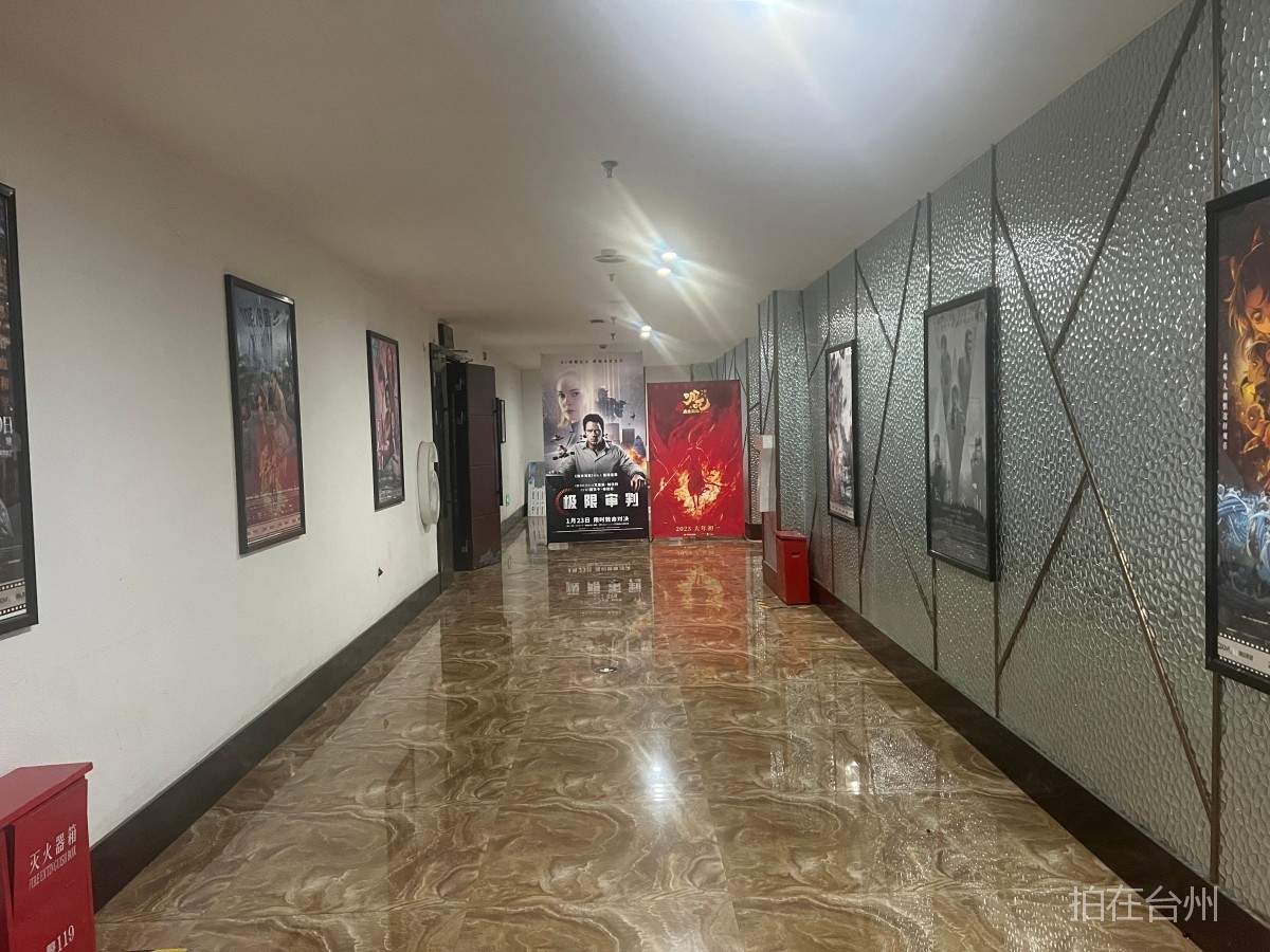 天台县德信影院有限公司(图10) 天台县德信影院有限公司(图11)