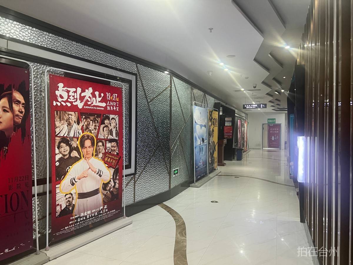 天台县德信影院有限公司(图4) 天台县德信影院有限公司(图5)