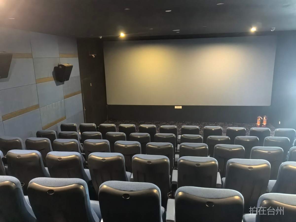 仙居横溪大世界影城（中心路店）(图3)