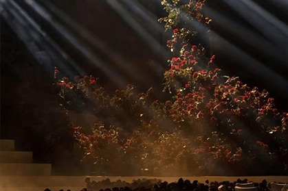 台州市喜乐文化传播有限公司(图3)