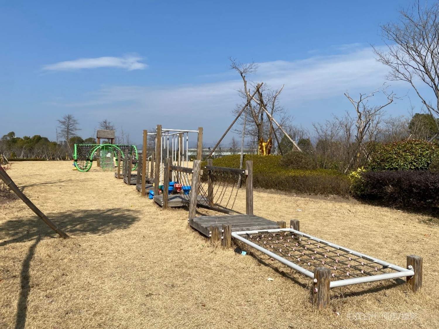 贡岩江口街道江心屿苗圃公园植物园(图2)