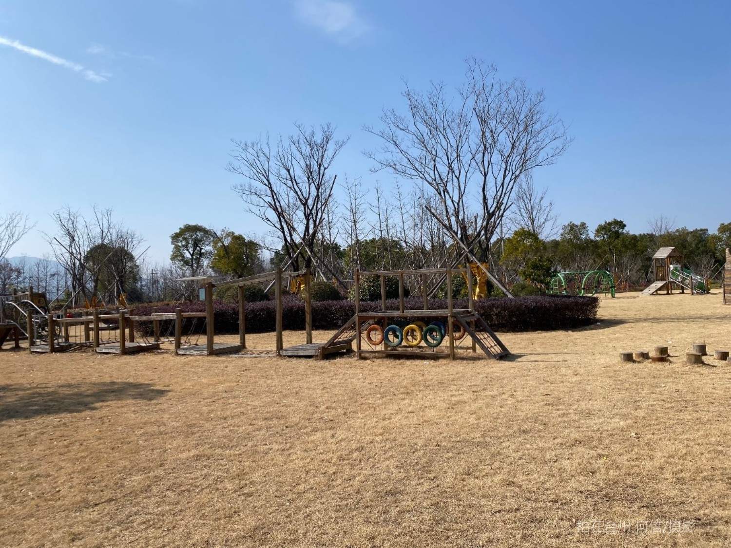 贡岩江口街道江心屿苗圃公园植物园(图1)