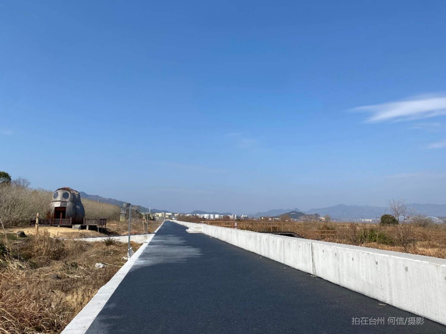 贡岩江口街道江心屿苗圃公园植物园(图6)