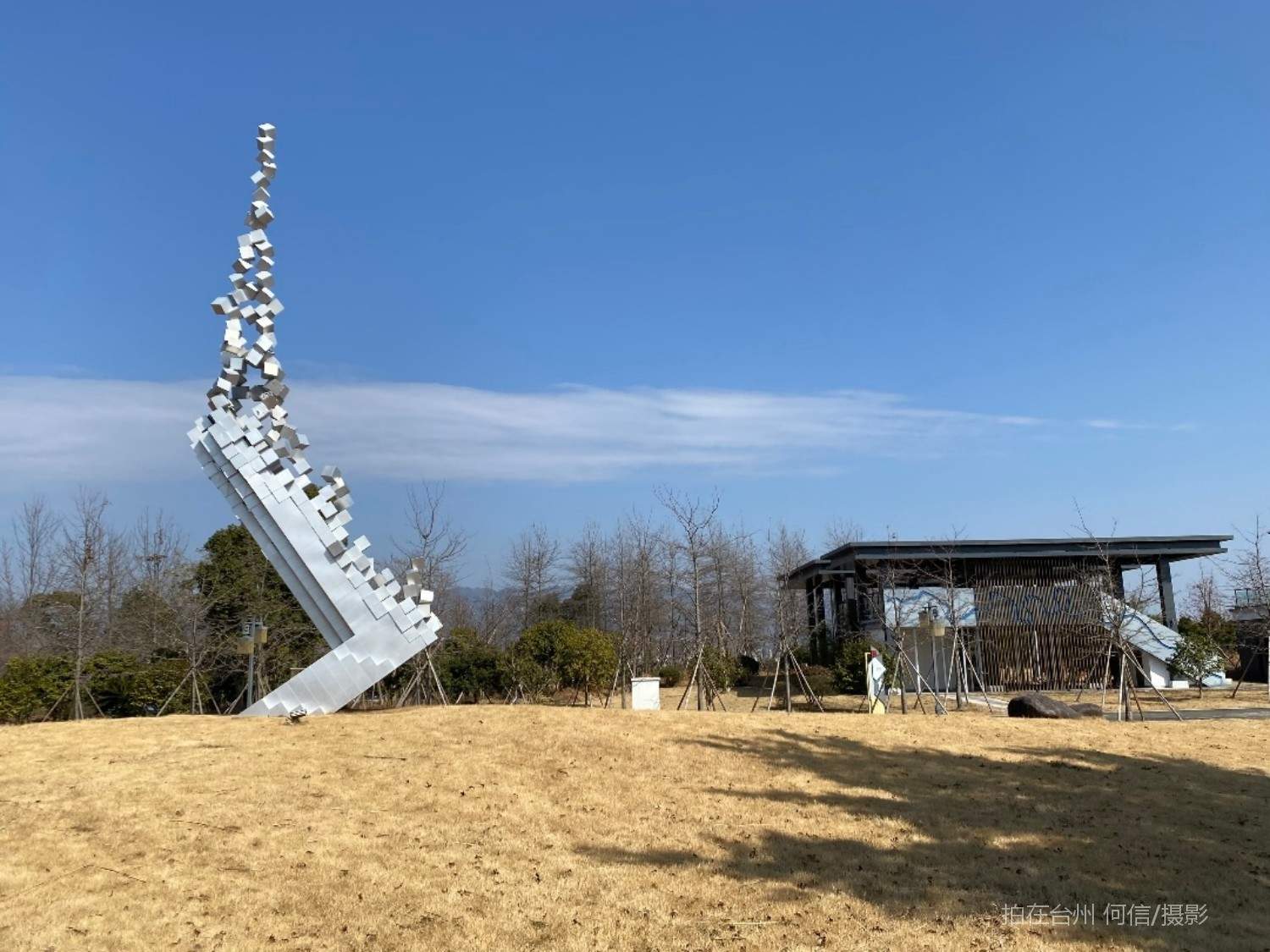贡岩江口街道江心屿苗圃公园植物园(图3)