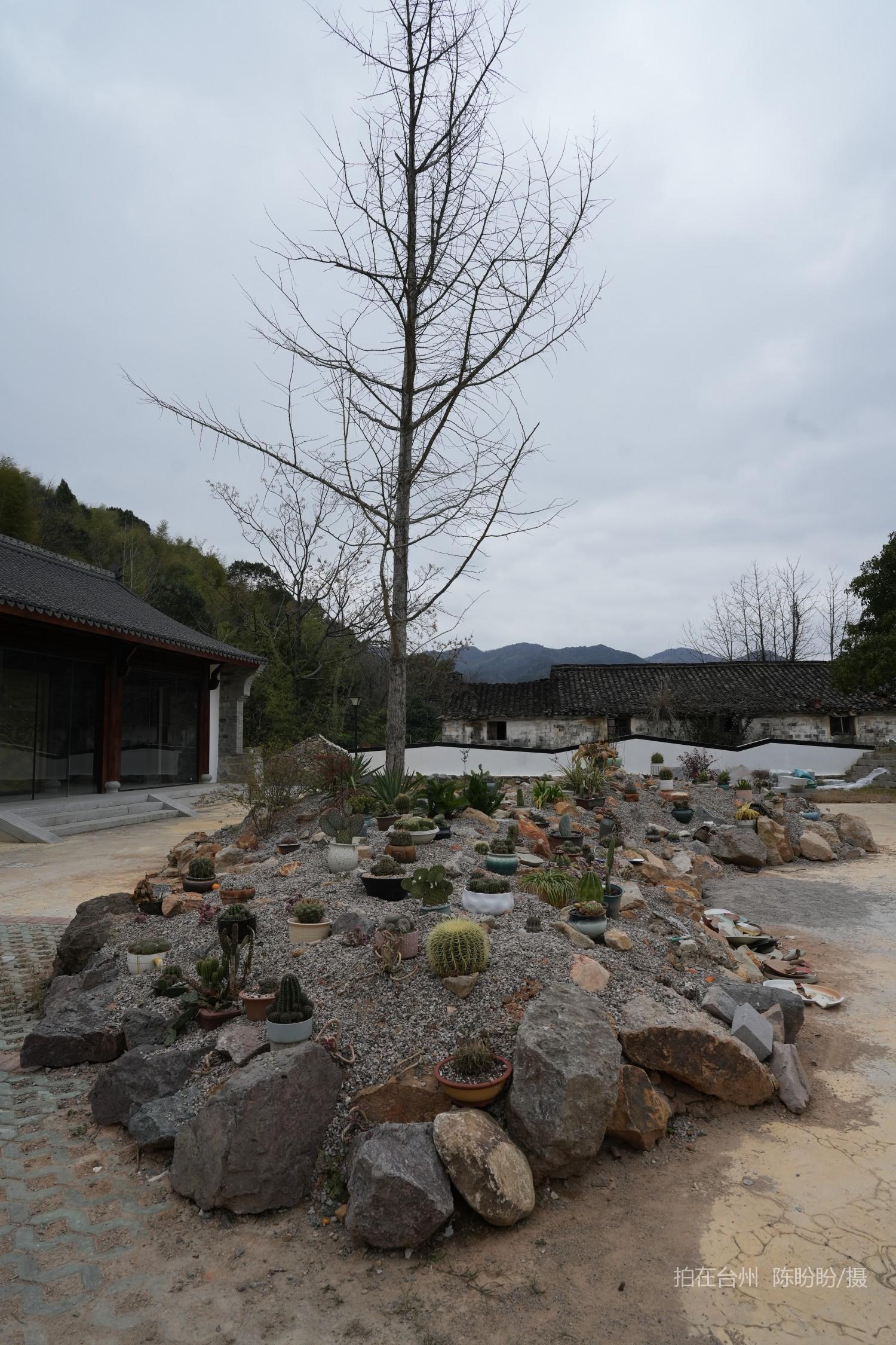 三门亭旁镇宁和书院书吧茶室(图3)