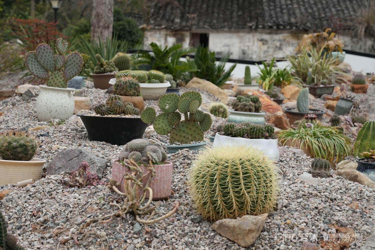 三门亭旁镇宁和书院书吧茶室(图2)