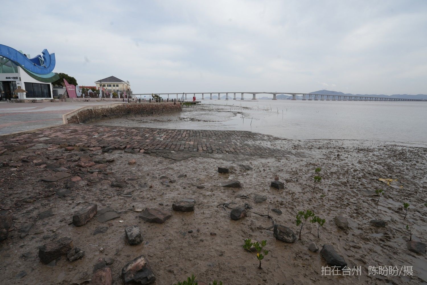 三门dudu咖啡(图22)