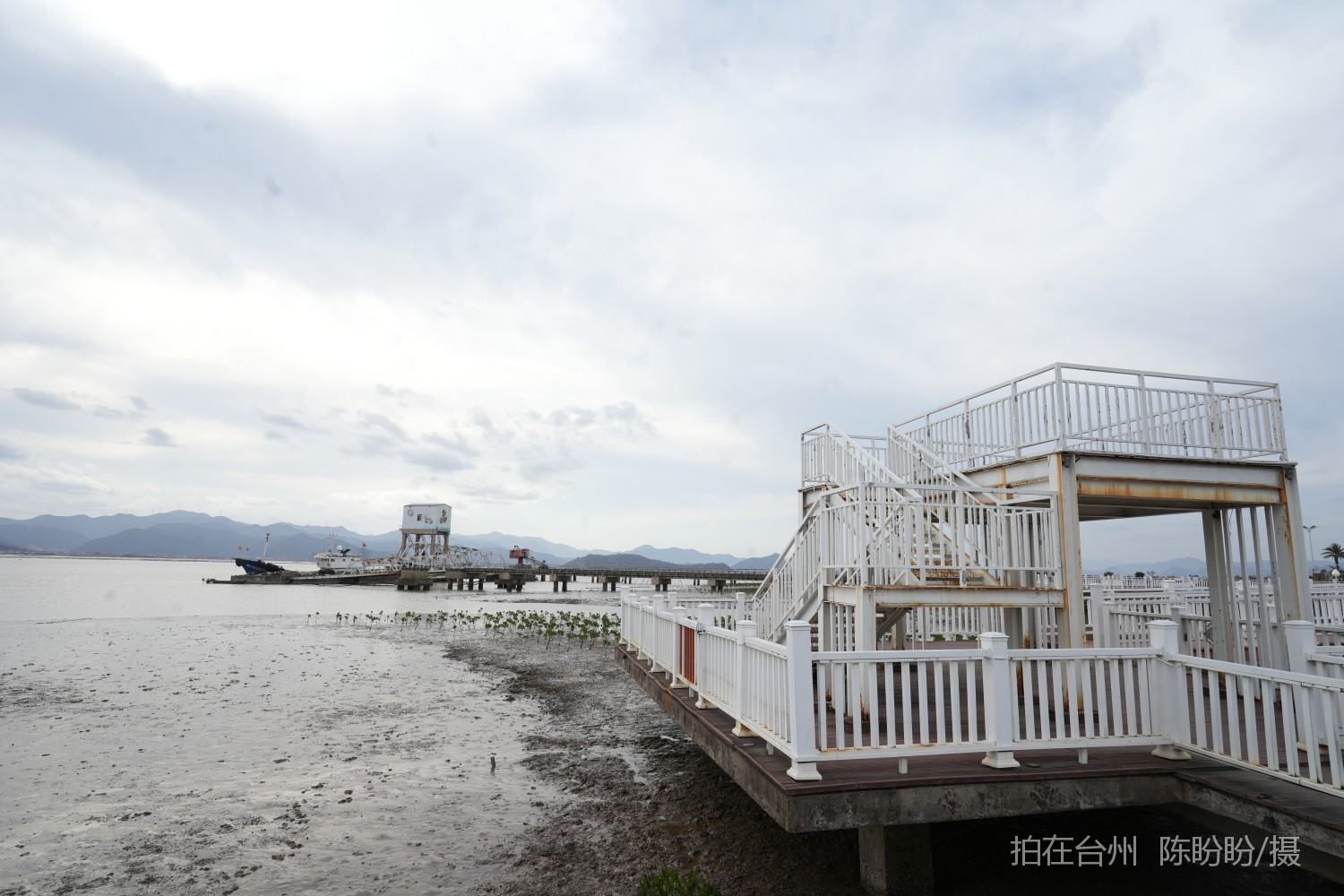 三门dudu咖啡(图21)