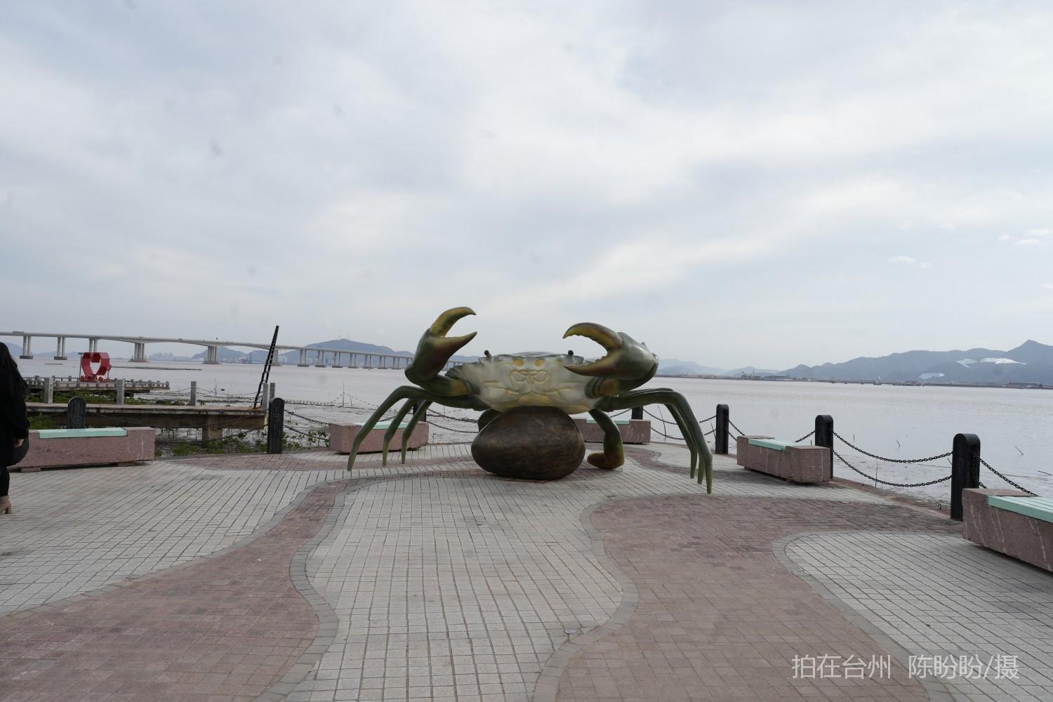 三门dudu咖啡(图17)