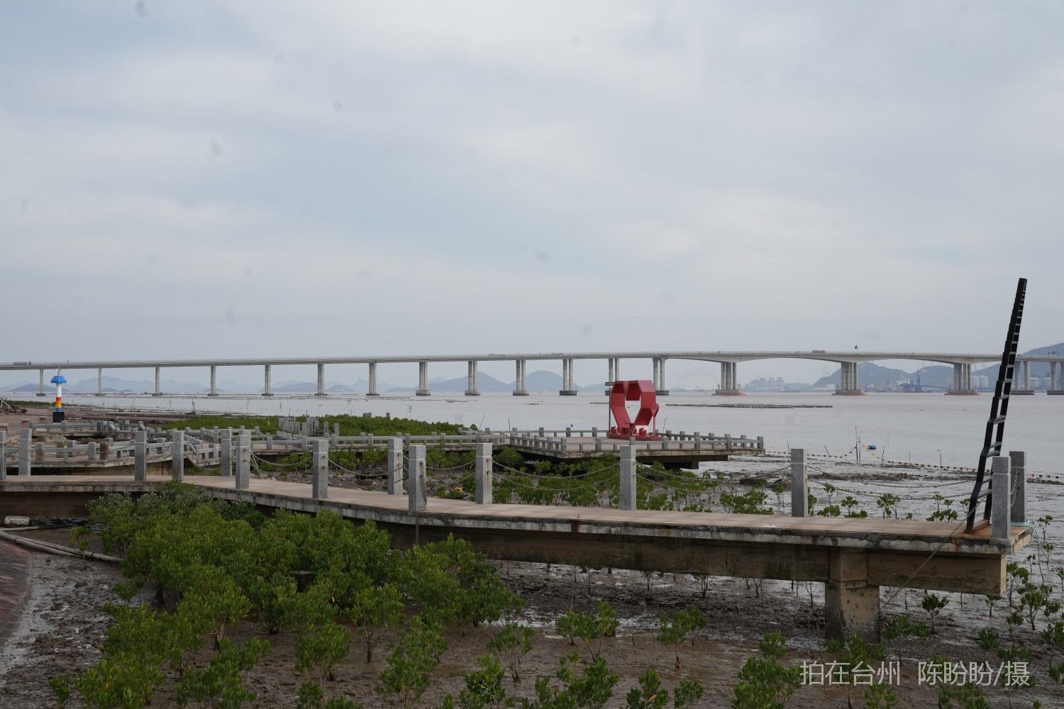 三门dudu咖啡(图13)