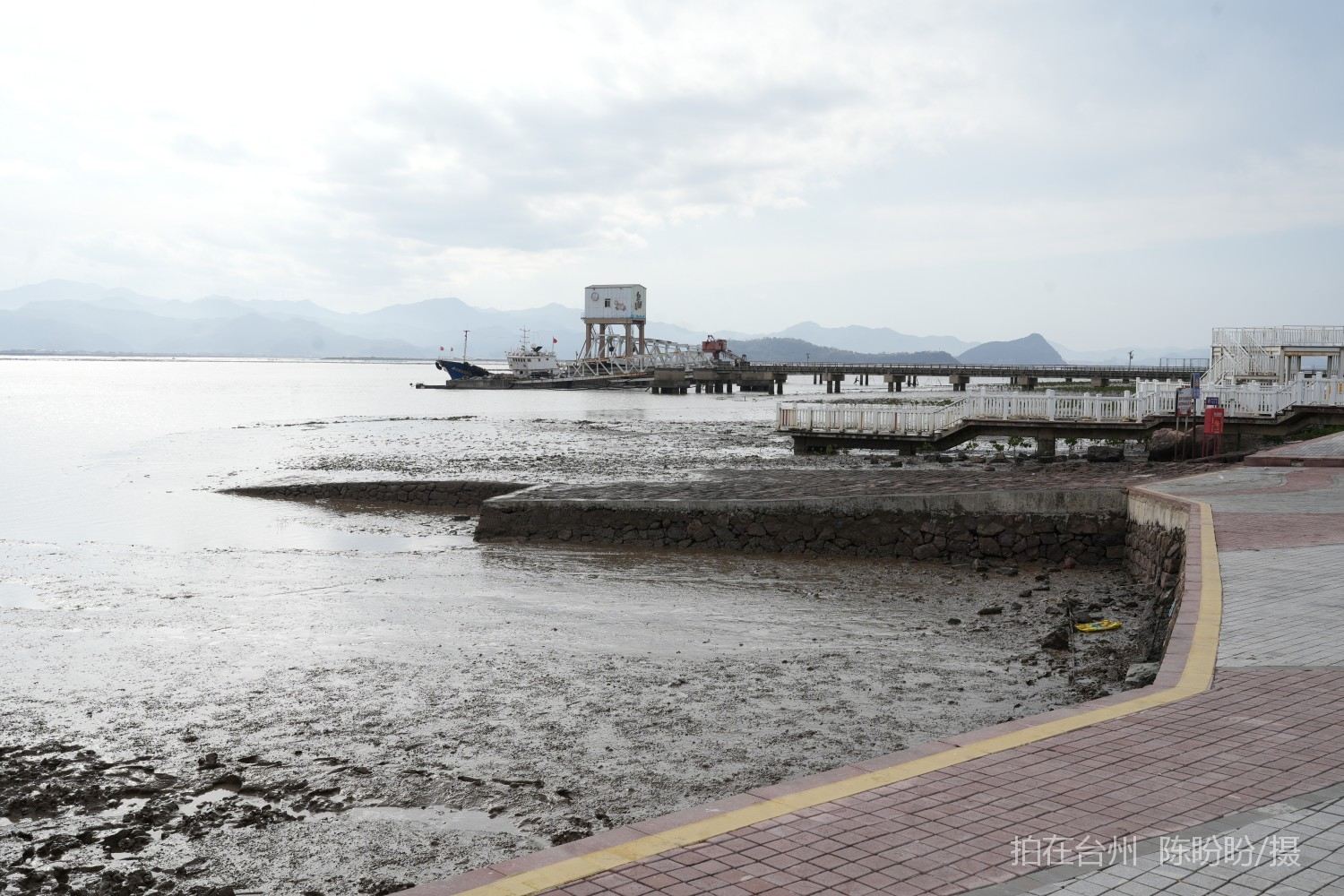 三门dudu咖啡(图15)