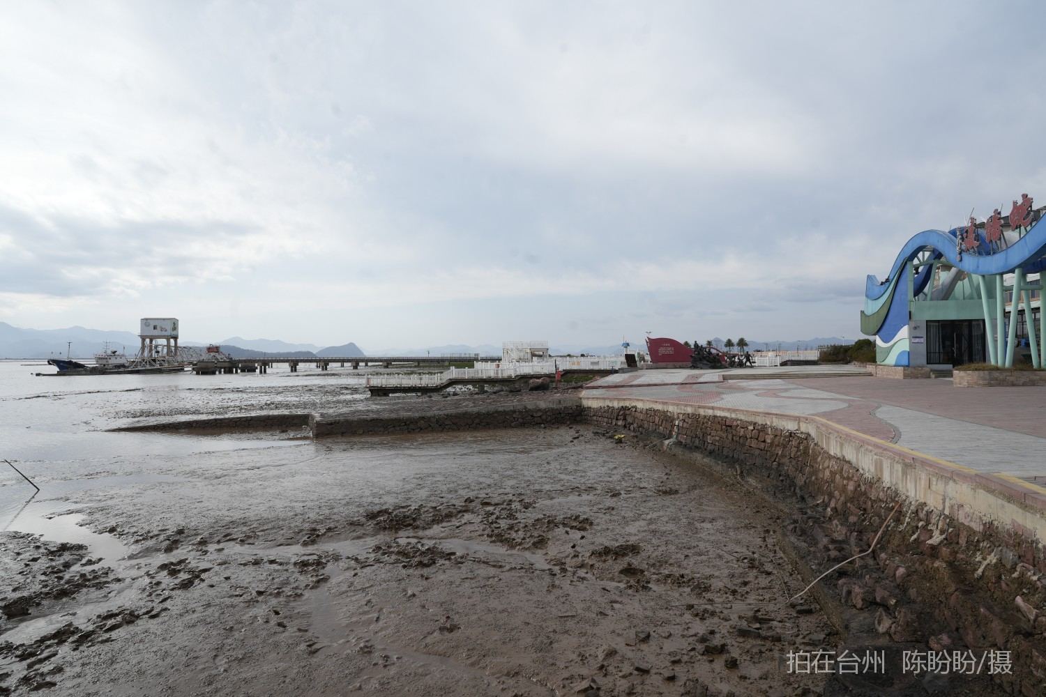 三门dudu咖啡(图14)