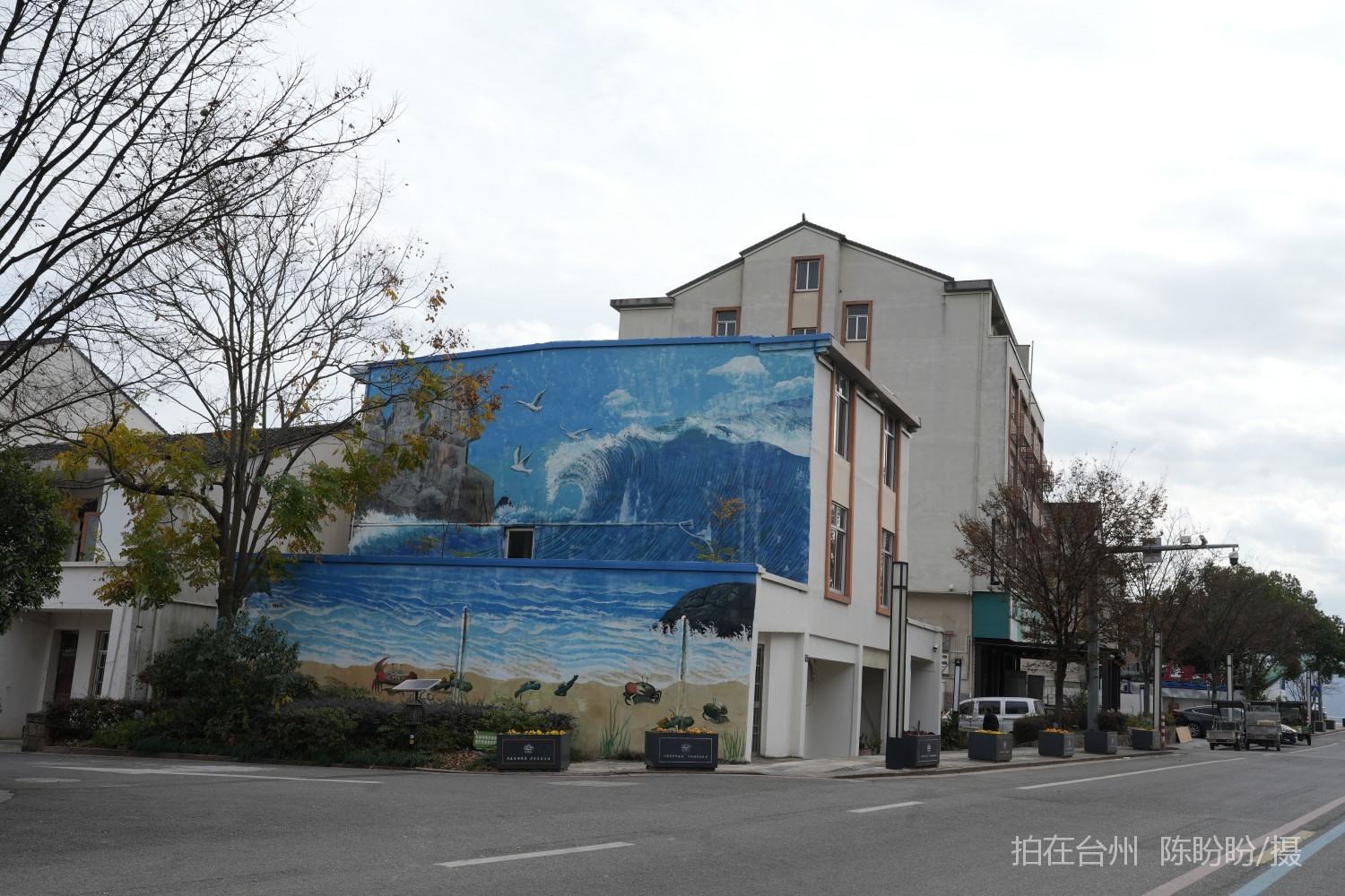 三门dudu咖啡(图3)