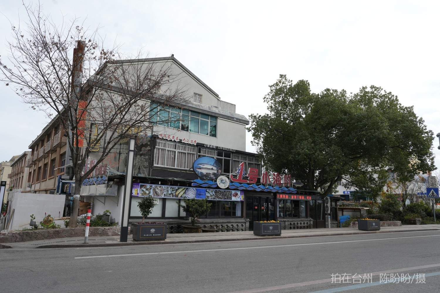 三门dudu咖啡(图2)