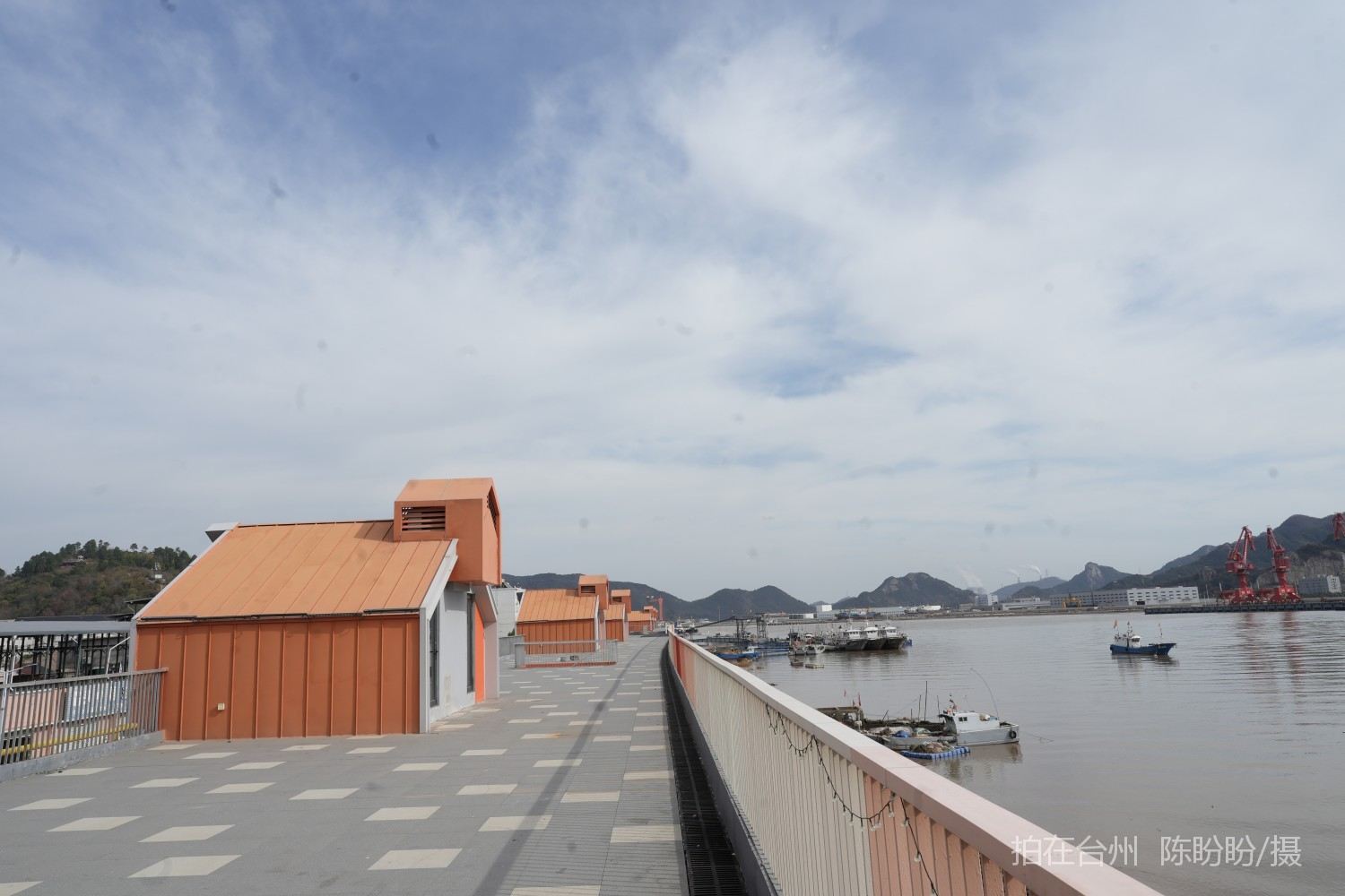 三门健跳小海鲜一条街(图13)