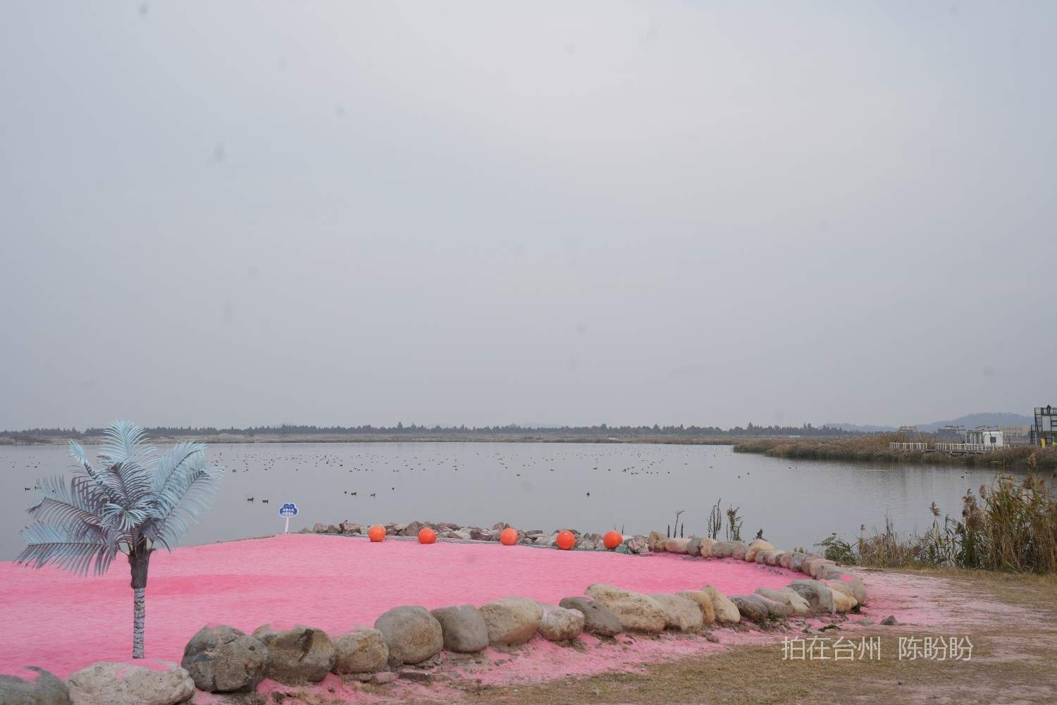 三门金麟湖城市公园(图14)