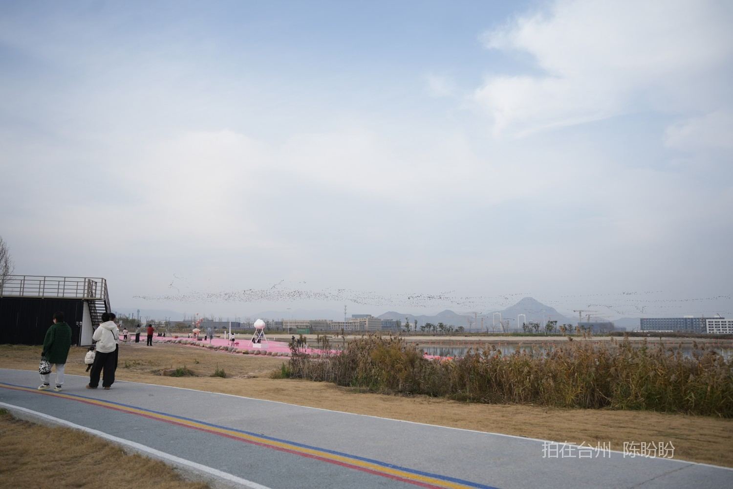 三门金麟湖城市公园(图11)