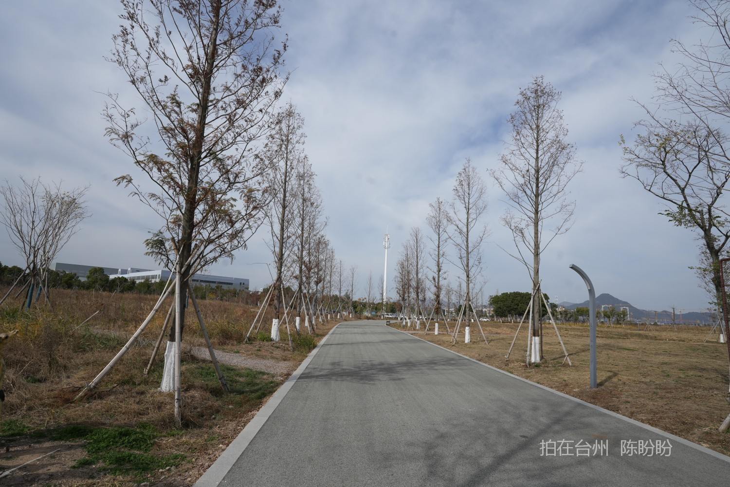 三门金麟湖城市公园(图3)