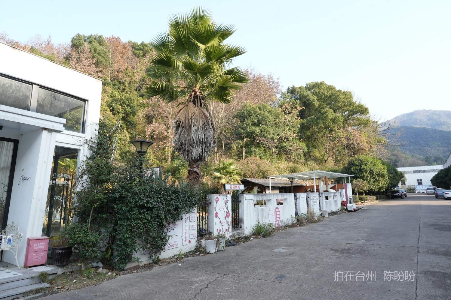 三门爱丽丝花园餐厅(图2)