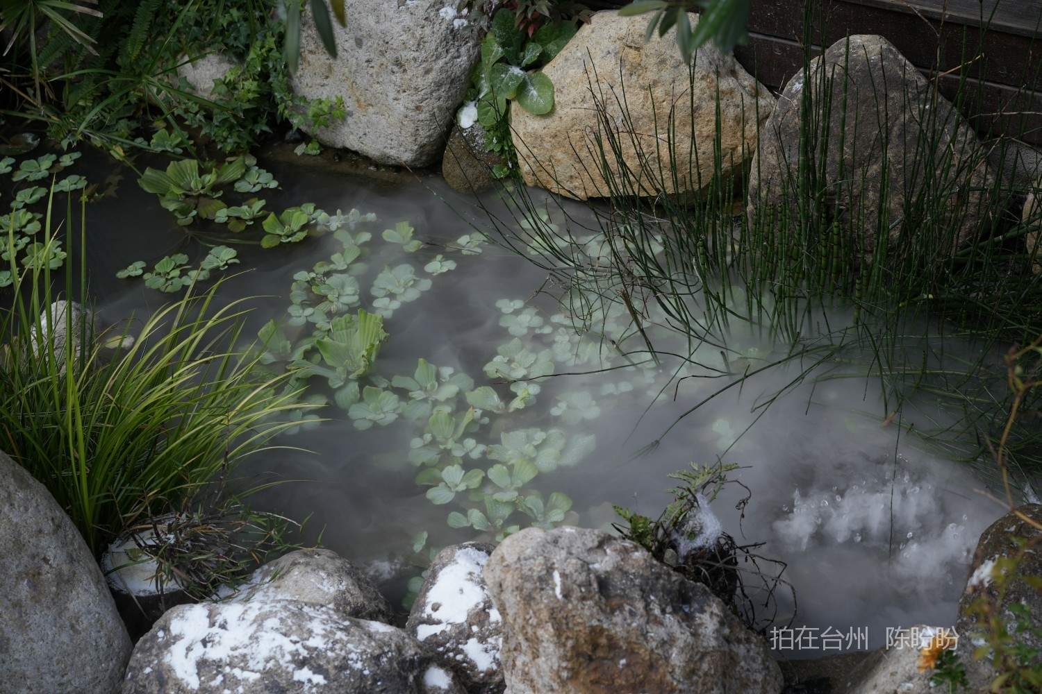 三门见南山小院(图13)