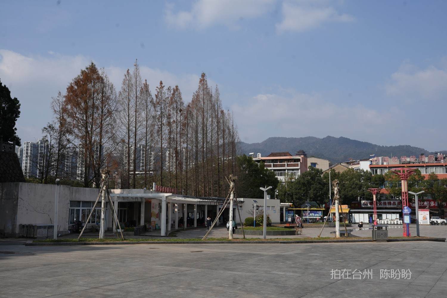 三门蟠龙公园(图6)