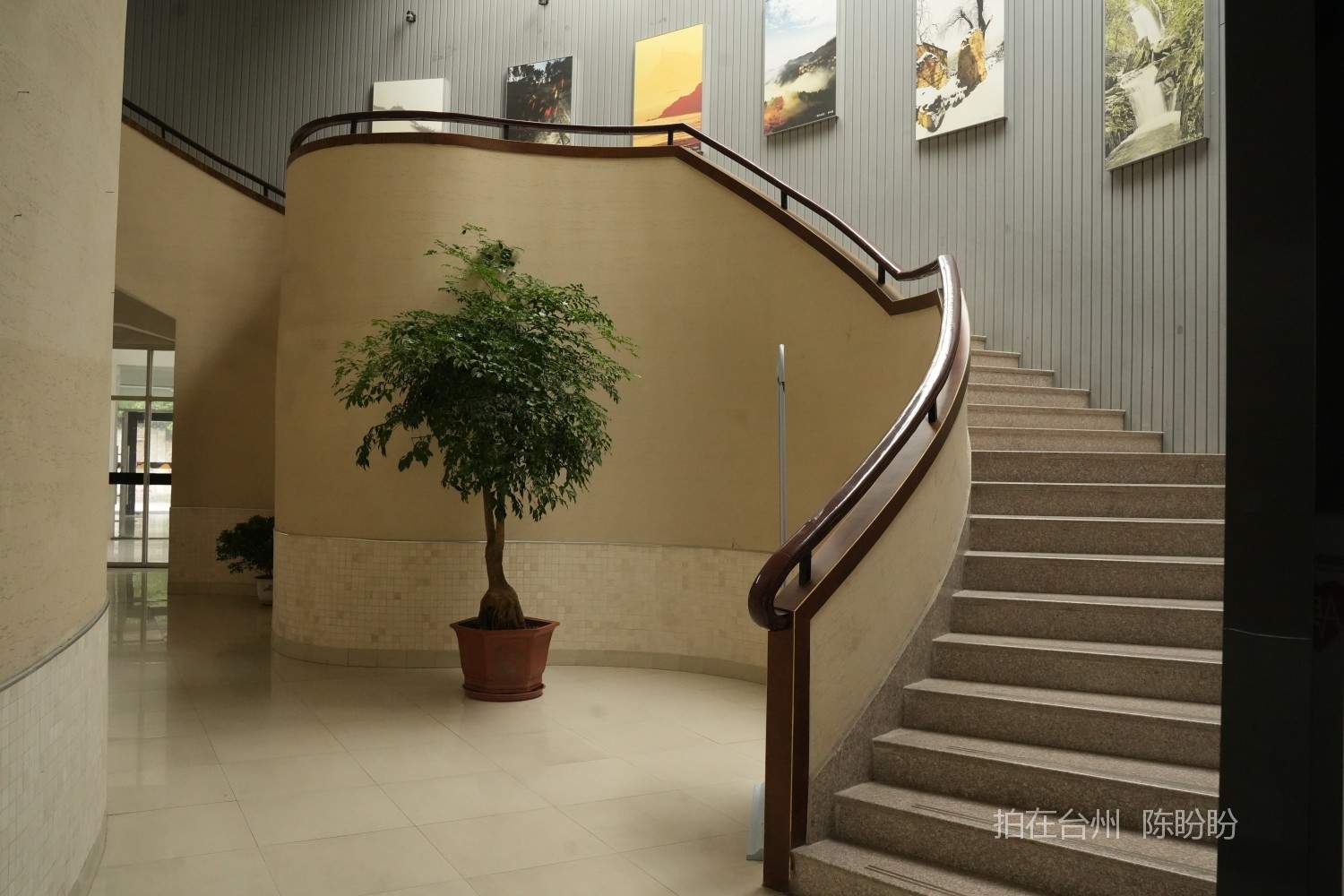 三门县文化馆广场(图14)