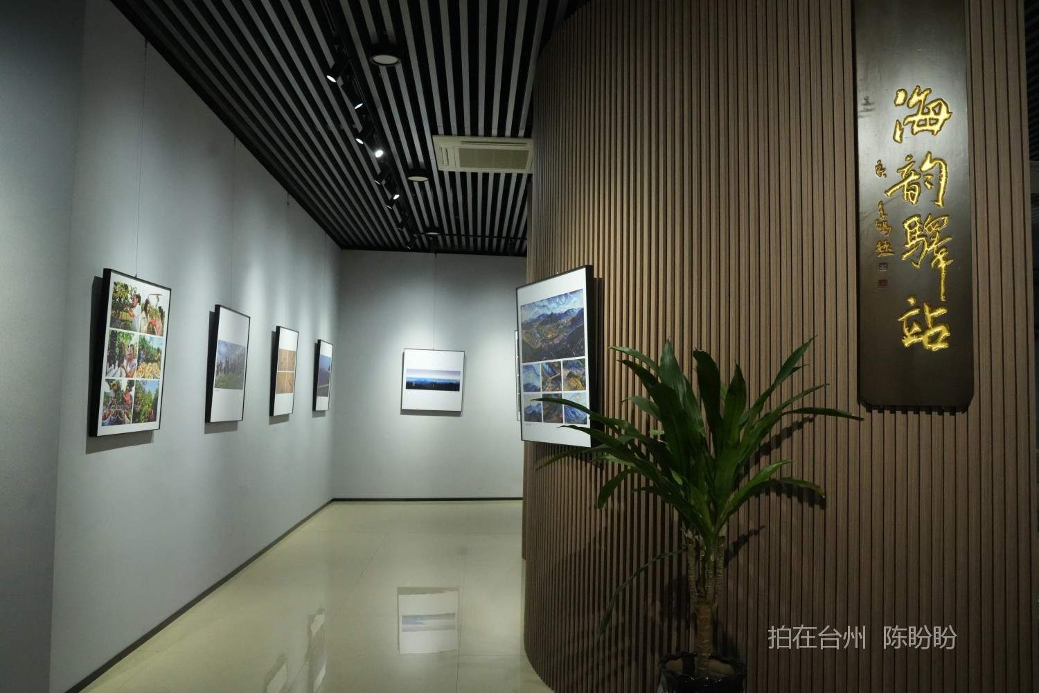 三门县文化馆广场(图2)