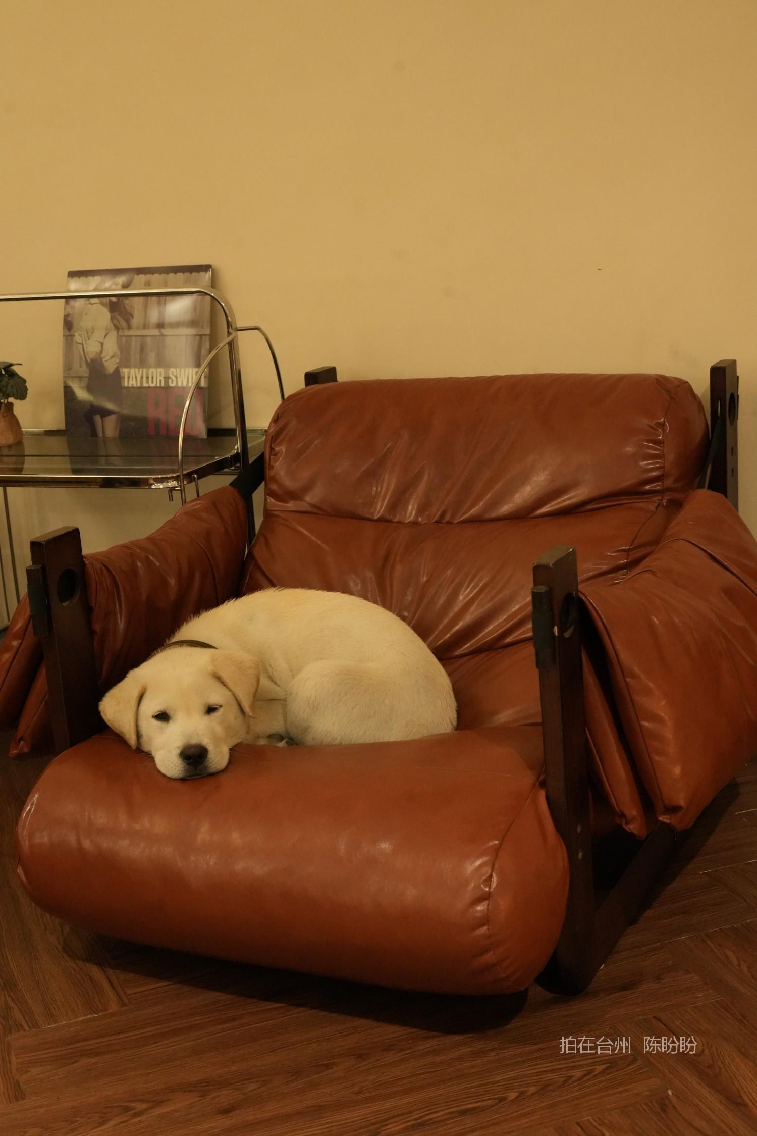 三门尚允咖啡馆(图16)