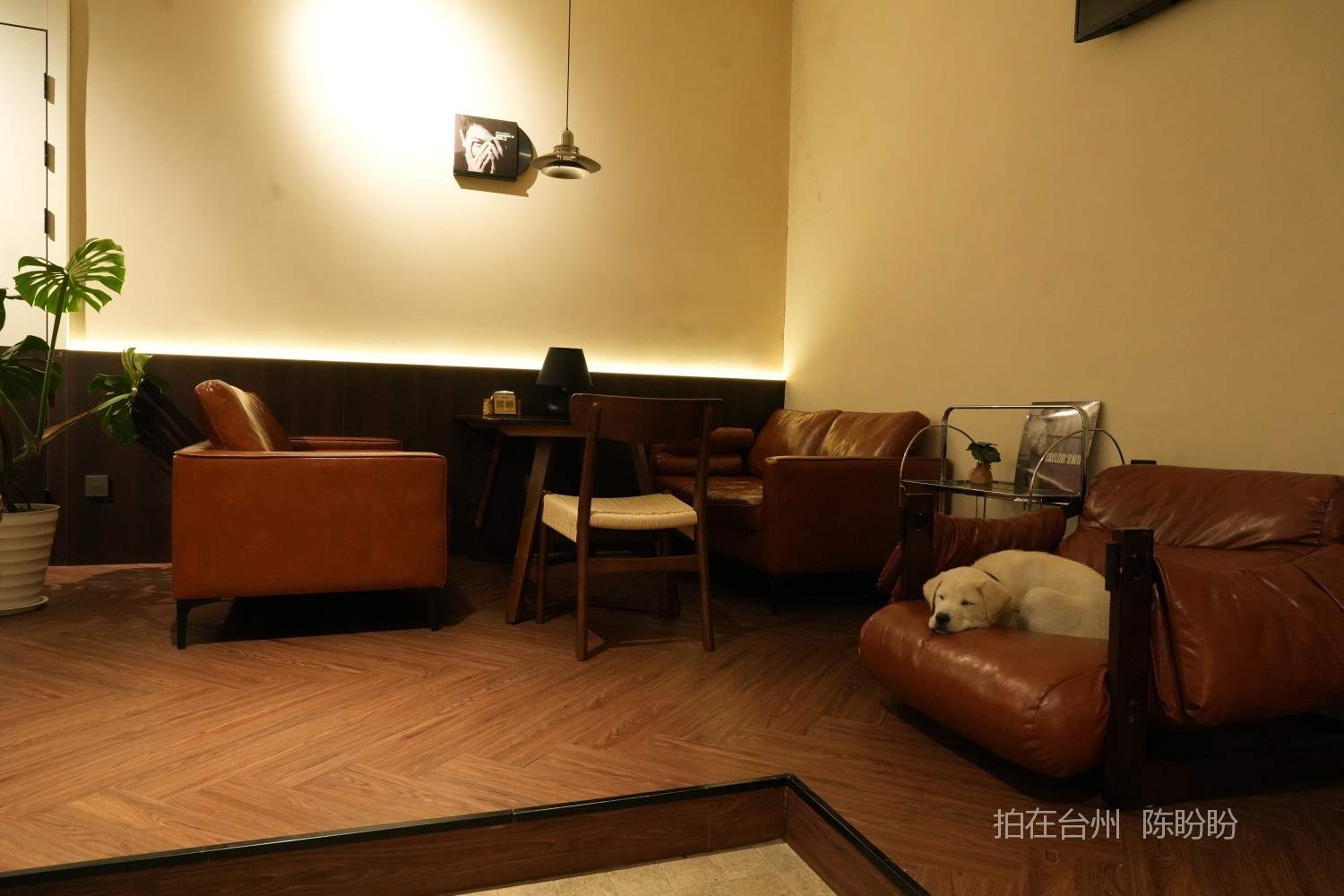 三门尚允咖啡馆(图15)