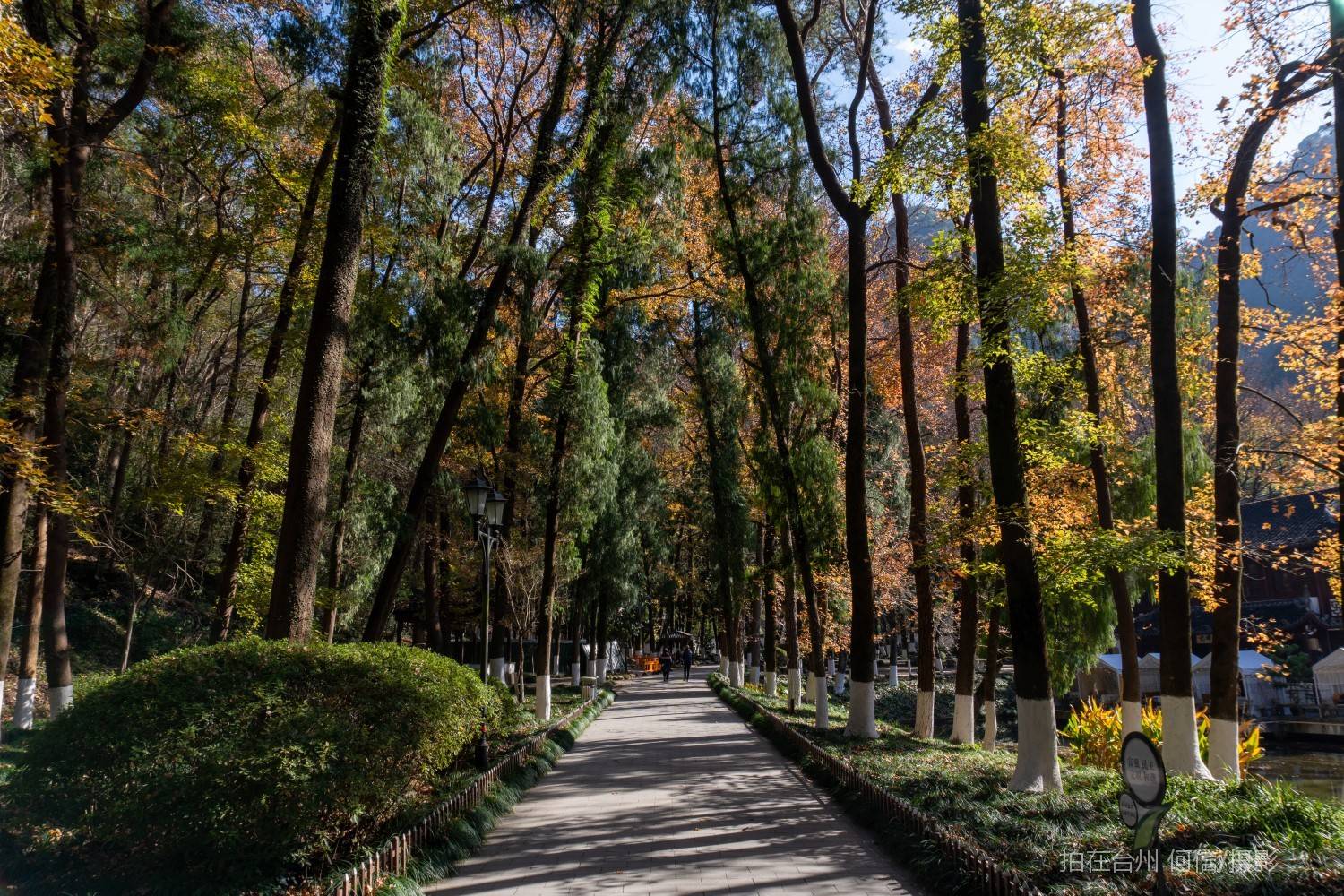 黄岩东城街道九峰茶苑茶室(图22)