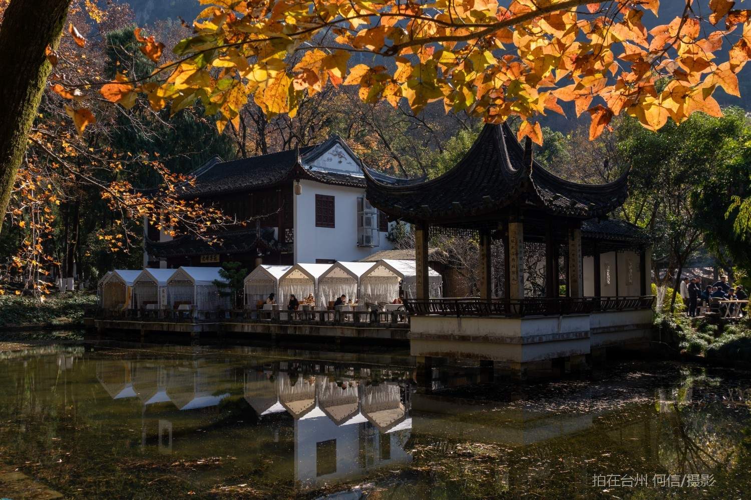 黄岩东城街道九峰茶苑茶室(图21)