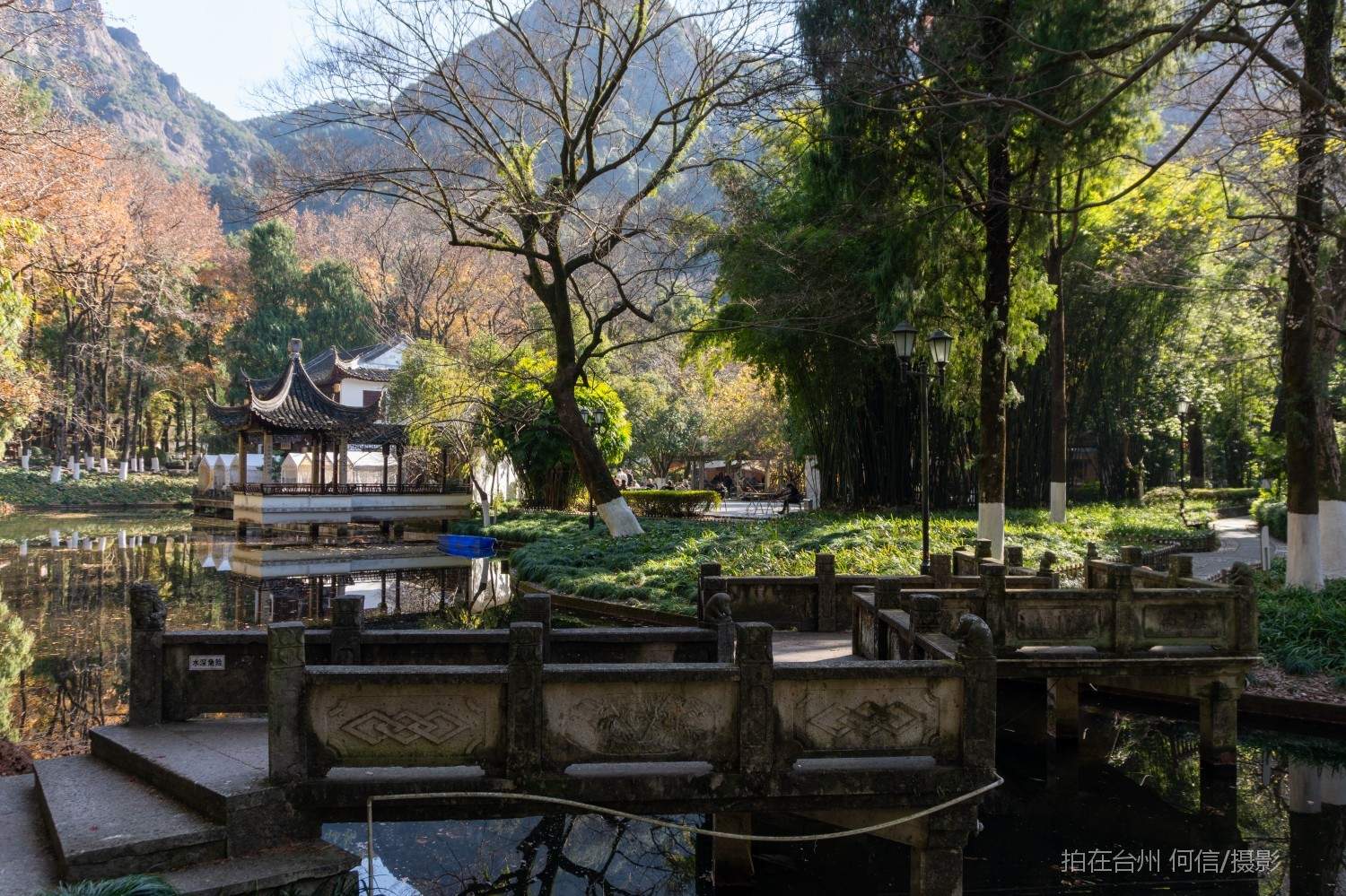 黄岩东城街道九峰茶苑茶室(图20)